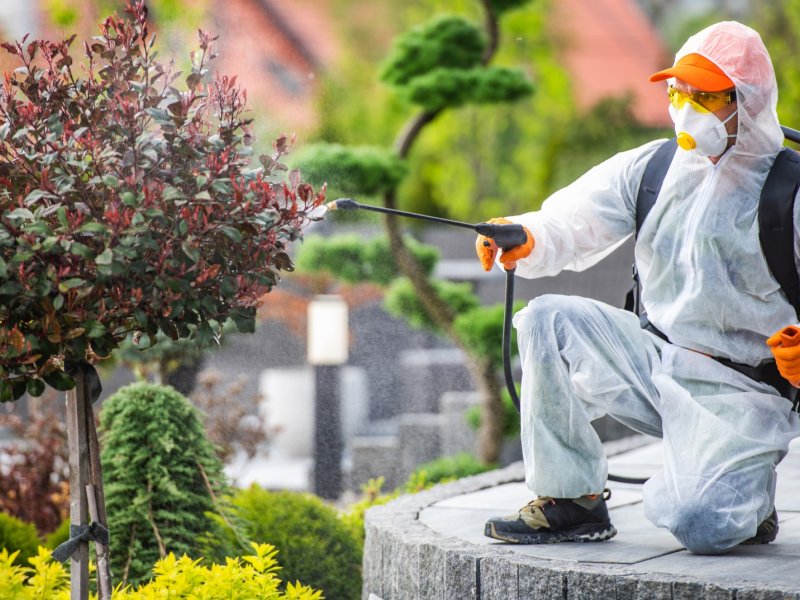 Didim Haşere İlaçlama